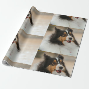 Happy Shelty Geschenkpapier