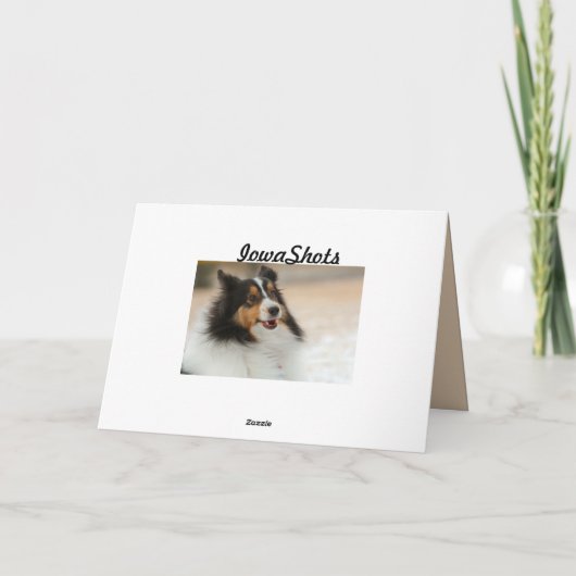 Happy Shelty Karte (Rückseite)