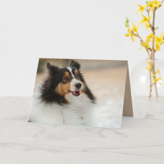 Happy Shelty Karte (Gelbe Blume)