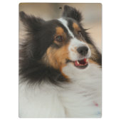 Happy Shelty Notebook Klemmbrett (Rückseite)