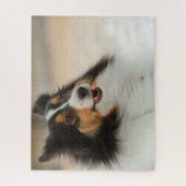 Happy Shelty Puzzle (Vertikal)