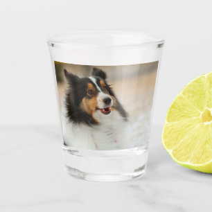 Happy Shelty Schnapsglas