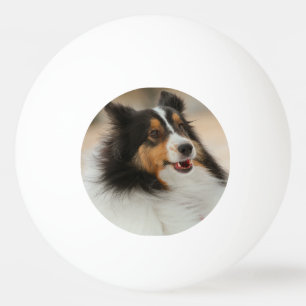 Happy Shelty Tischtennisball