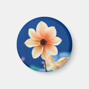 Happy Single Kiss Dahlia mit blauem Hintergrund Magnet