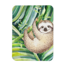 Happy Sloth Tropical