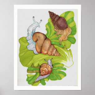 Happy Snails auf Lettuce Leaf Art Poster