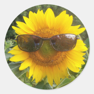 Happy Sonnenblume mit Sonnenbrille Aufkleber