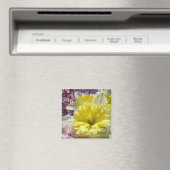 Happy Spring Best Friend! Magnet Bright Daffodils (In Situ (Geschirrspüler))