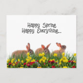 Happy Spring Blumen and Rabbits Postkarte (Vorderseite)