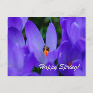 Happy Spring Card Postkarte