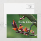 Happy Spring Card Postkarte (Vorne/Hinten)