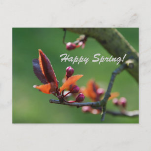 Happy Spring Card Postkarte