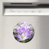 Happy Spring Crocus Magnet (In Situ (Geschirrspüler))