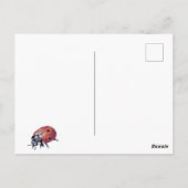 Happy Spring Flowers Ladybug Postcard Postkarte (Rückseite)