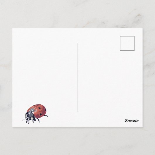Happy Spring Flowers Ladybug Postcard Postkarte (Rückseite)