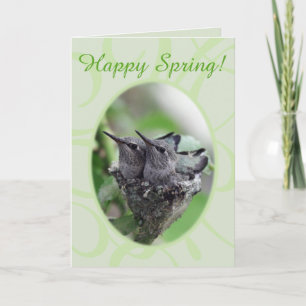 Happy Spring   Hummingvögel im Nest-Foto   Feiertagskarte