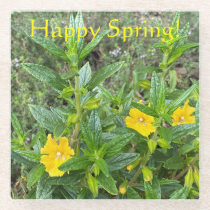 Happy Spring Monkeyblumen! Glasuntersetzer