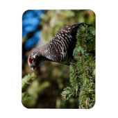 Happy Spruce Grouse Magnet (Vertikal)