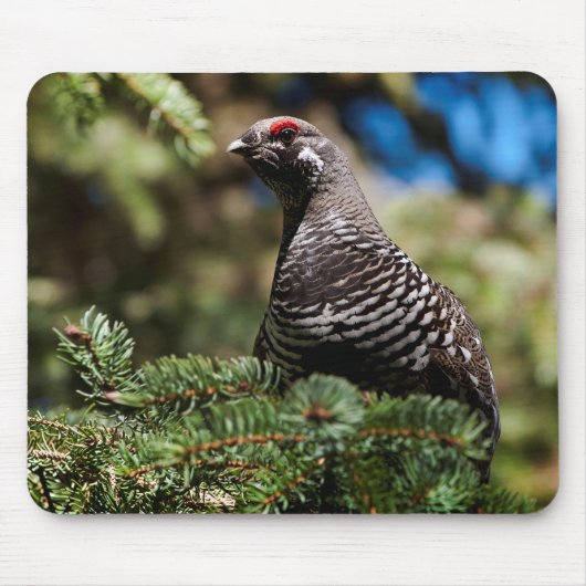 Happy Spruce Grouse Mousepad (Vorne)