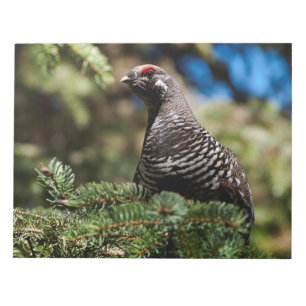 Happy Spruce Grouse Notizblock