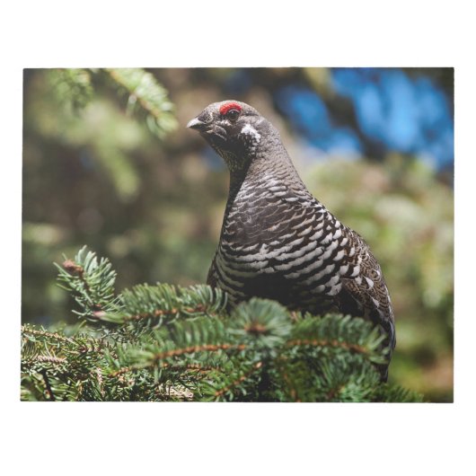 Happy Spruce Grouse Notizblock (Vorderseite)