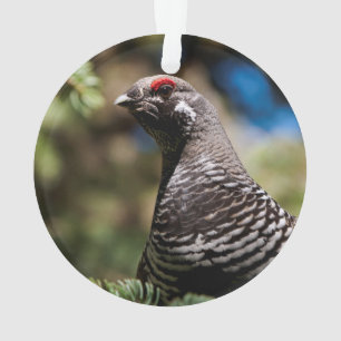 Happy Spruce Grouse Ornament