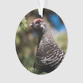 Happy Spruce Grouse Ornament (Vorderseite)