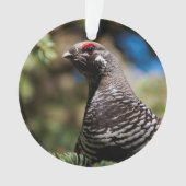 Happy Spruce Grouse Ornament (Vorderseite)