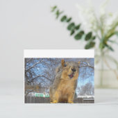 Happy Squirell Postkarte (Stehend Vorderseite)