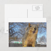 Happy Squirell Postkarte (Vorne/Hinten)