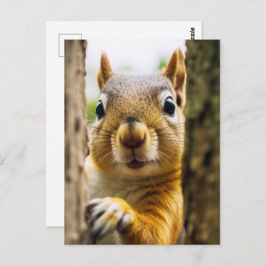 Happy Squirrel Postkarte (Vorne/Hinten)