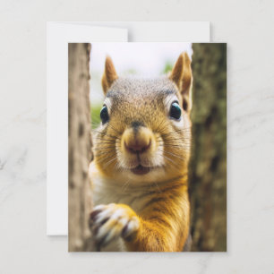Happy Squirrel Postkarte