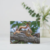 Happy Squirrel Postkarte (Stehend Vorderseite)