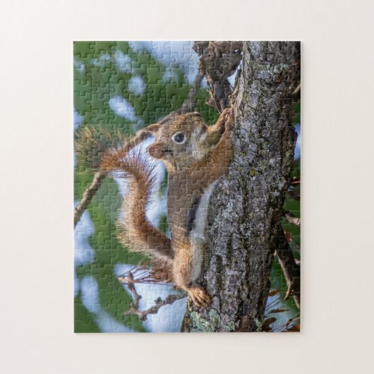 Happy Squirrel Puzzle (Vertikal)