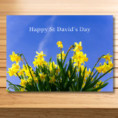 Happy St David’s Day Daffodils Welsh Greeting Karte