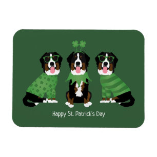 Happy St Patricks Day Bernese Mountain Hunde Magnet