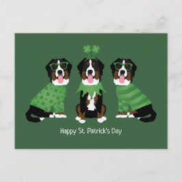 Happy St Patricks Day Bernese Mountain Hunde Postkarte