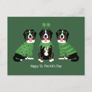Happy St Patricks Day Bernese Mountain Hunde Postkarte