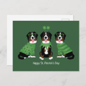 Happy St Patricks Day Bernese Mountain Hunde Postkarte (Vorne/Hinten)
