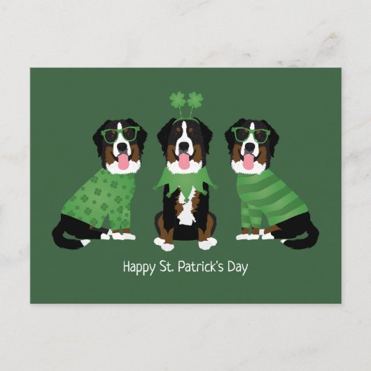 Happy St Patricks Day Bernese Mountain Hunde Postkarte (Vorderseite)