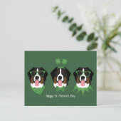 Happy St Patricks Day Bernese Mountain Hunde Postkarte (Stehend Vorderseite)