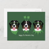 Happy St Patricks Day Bernese Mountain Hunde Postkarte (Vorne/Hinten)