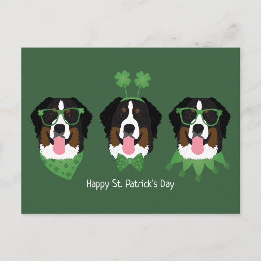 Happy St Patricks Day Bernese Mountain Hunde Postkarte (Vorderseite)
