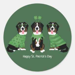 Happy St Patricks Day Bernese Mountain Hunde Runder Aufkleber