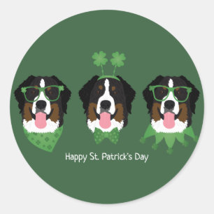 Happy St Patricks Day Bernese Mountain Hunde Runder Aufkleber