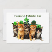 Happy St. Patrick's Day Cats Einladung (Vorderseite)