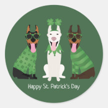 Happy St Patricks Day Dobermann Hunde