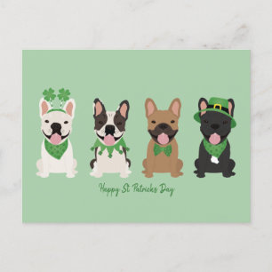 Happy St Patricks Day French Bulldogs Feiertagspostkarte