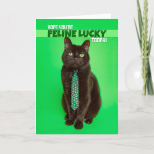 Happy St Patricks Day Funny Cat im Kleeblatt Feiertagskarte