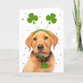 Happy St Patricks Day für jeden Hund im Headband Feiertagskarte